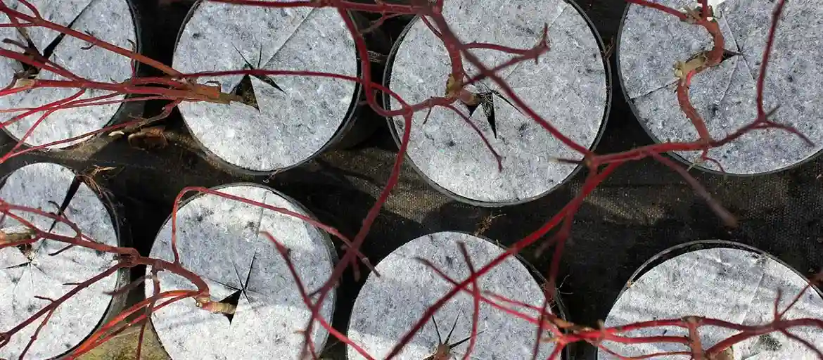 Protezione dalle erbacce